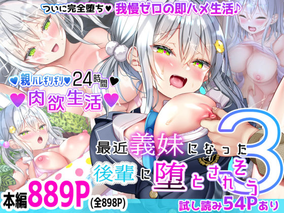[制服]最近義妹になった後輩に堕とされそう3 なえぷちレビュー4.86