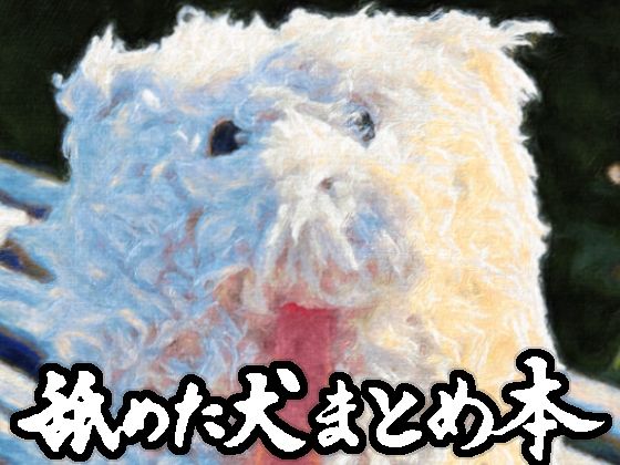 [ギャグ・コメディ]舐めた犬まとめ本 舐めた犬レビュー4.85