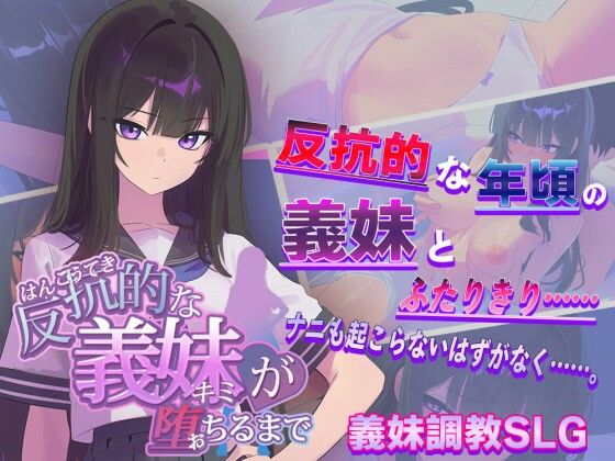 [羞恥]反抗的な義妹（きみ）が堕ちるまで からあげカンパニーレビュー3.38