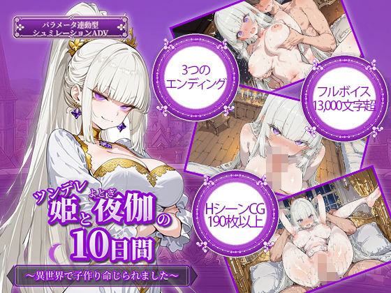 [ファンタジー]ツンデレ姫と夜伽の10日間 〜異世界で子作り命じられました〜 電脳ヒロインズレビュー