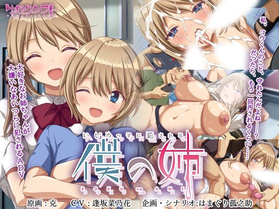 [辱め]いじめっ子に犯●れる僕の姉 ゆかりソフトレビュー4.82
