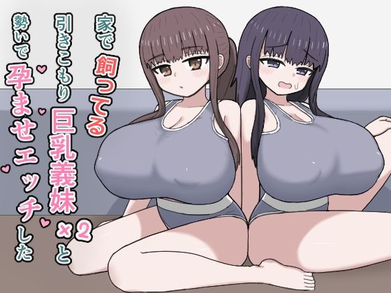 [デモ・体験版あり]家で飼ってる引きこもり巨乳義妹×2と勢いで孕ませエッチした にしかわ屋レビュー